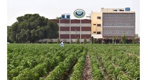 Pakistan Central Cotton Committee (PCCC) Multan